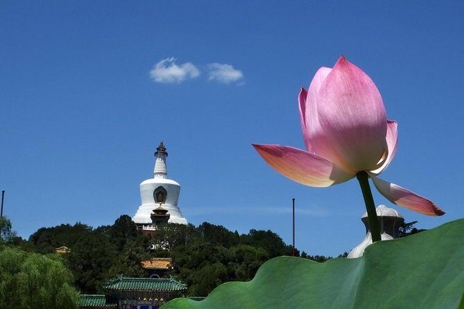 2-Hour Beijing Private Jingshan Coal Hill Park and Beihai Park Walking Tour - Why This Walking Tour Works in Two Hours