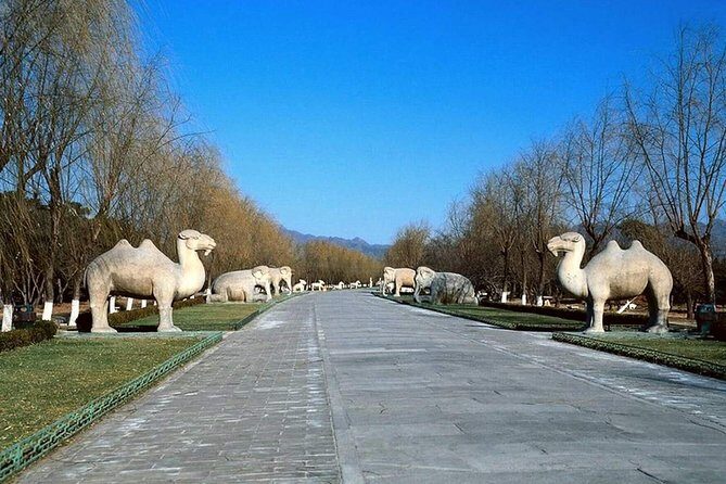 All Inclusive Private Tour to Mutianyu Great Wall and Ming Tombs - Lunch and On-the-Road Comfort