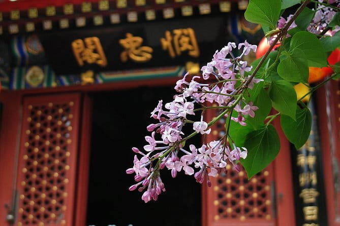 Beijing Forbidden City and Summer Palace Private Guide Tour - Timing, transportation, and what “6 to 8 hours” feels like