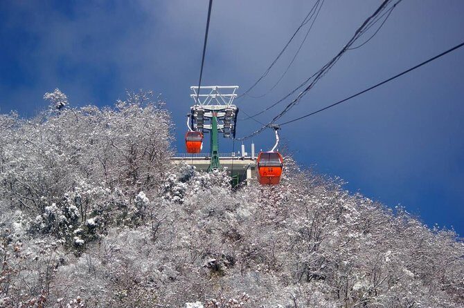 Beijing Mini Group Tour to Mutianyu Great Wall (Max 8+Tickets) - Why Mutianyu feels special for a first Great Wall day