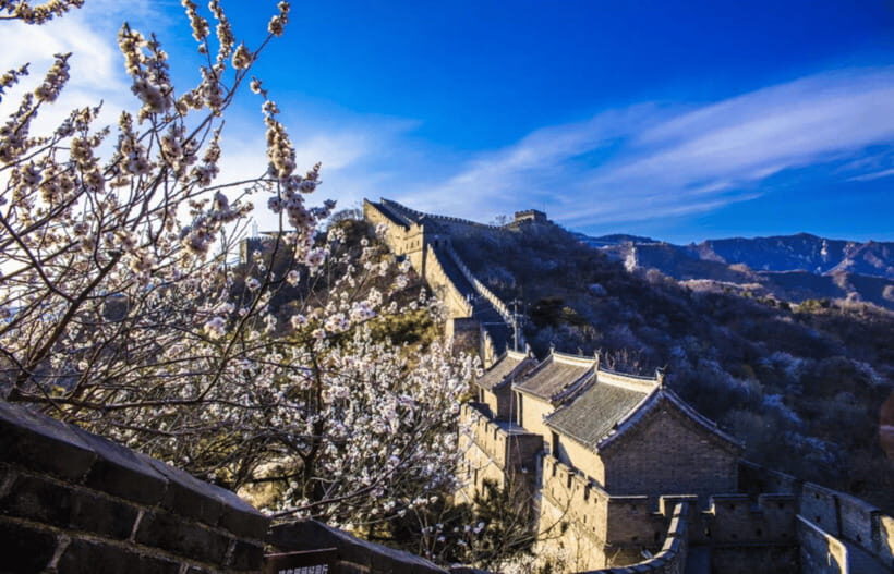 Beijing Mutianyu Great Wall&ForbiddenCity All Inclusive Tour - Midday Transfer and Lunch: The Pace Between Two Giants