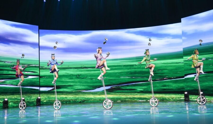 Beijing Night Tour with Acrobatics Show & PekingDuck Dinner - Passport details and ticketing: do it once, do it right