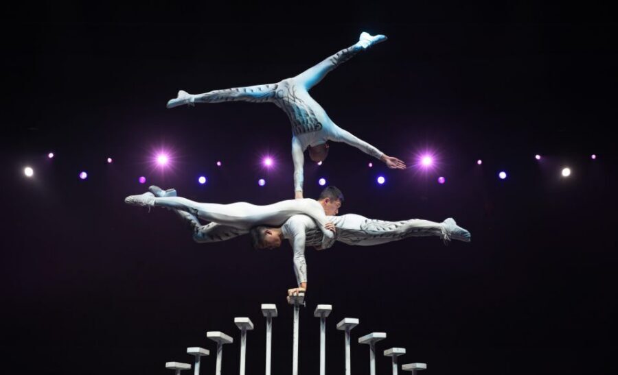 Beijing Night Tour with Acrobatics Show & PekingDuck Dinner - The Peking duck dinner: crispy skin and table slicing drama