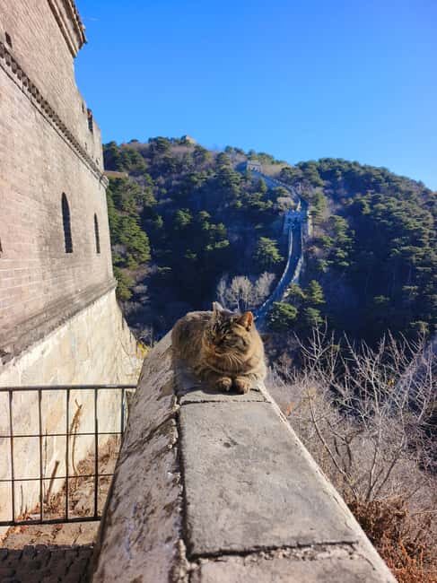Beijing: Private Tour to Mutianyu Great Wall&Forbidden City - What’s Included vs. What You’ll Pay Separately (So You Don’t Get Surprised)