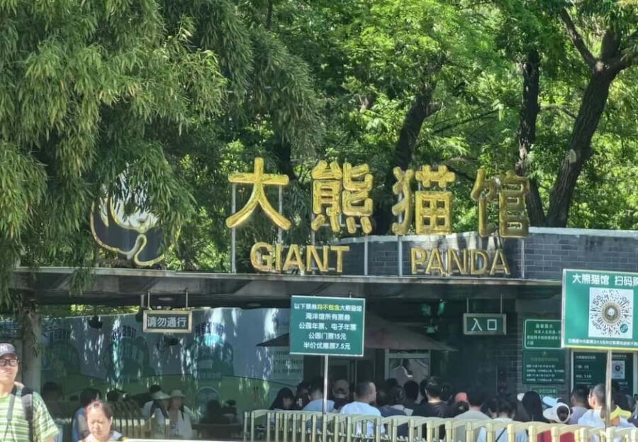 Beijing: Private Transfer to Great Wall & City Highlights - Why the Driver Help Matters More Than You Think