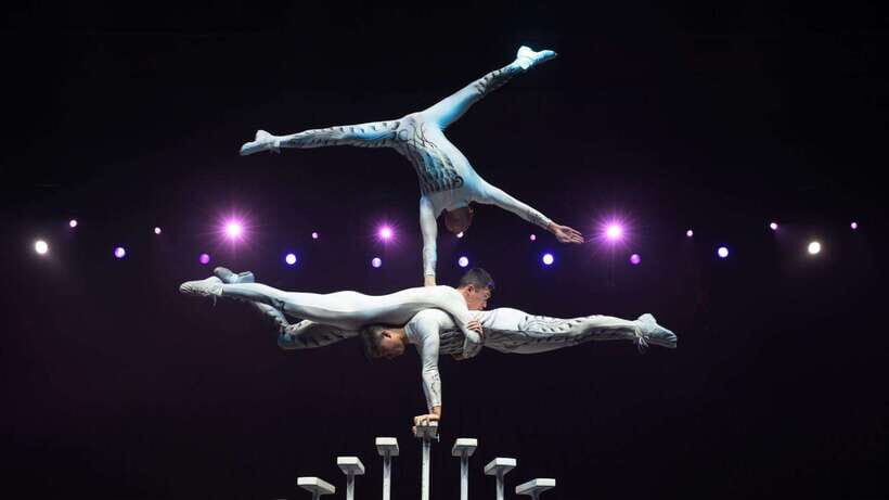 Beijing: Red Theatre Acrobatics Show Ticket-Local Must-See - Should You Book the Red Theatre Acrobatics Show?
