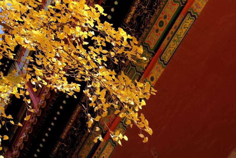 Forbidden City Of Beijing Tickets Booking And Other Option - Getting picked up (or meeting on your own): keeping it simple