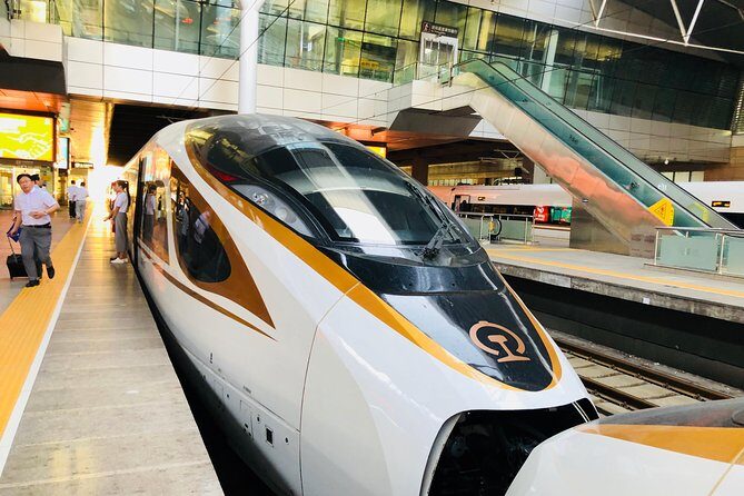 Private Tianjin Port Departure Transfer from Beijing by Bullet Train Experience - Key Things That Matter on This Transfer