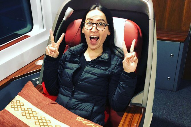 Private Tianjin Port Departure Transfer from Beijing by Bullet Train Experience - The Bullet Train Ride: 1st or Biz Class in About 30 Minutes