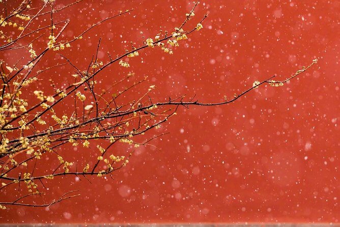 Private Tour: Forbidden City and Mutianyu Great Wall with Cable Car or Toboggan - From Lunch to Jade Workshop: A Cultural Break That Doesn’t Feel Like Detour