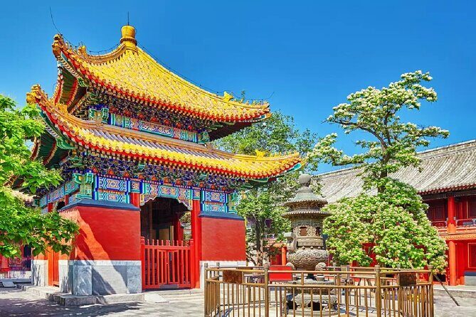 Private Tour to Lama Temple, Tian'anmen Square and Forbidden City - Key highlights