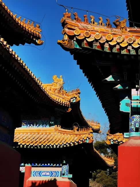 Tickets to all Beijing attractions (Forbidden City optional) - Guozijian (Imperial College): the guided hour that can anchor the whole day